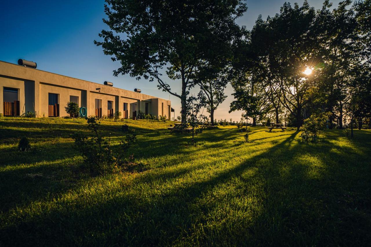 Quinta Chao Da Bispa Oliveira do Hospital Exterior photo